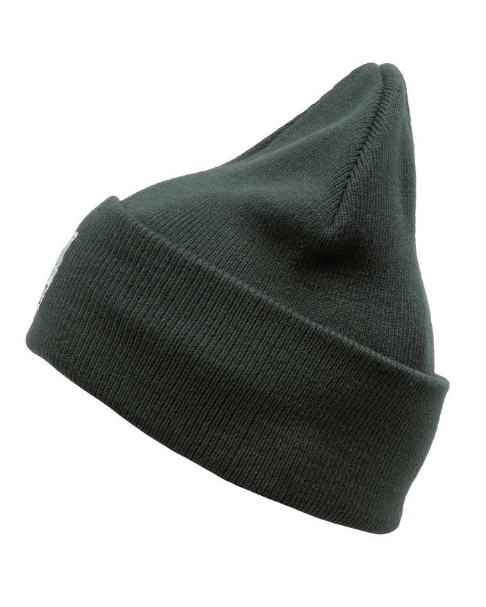 Ribbed Beanie - Pine Green - Dixxon Flannel Co.