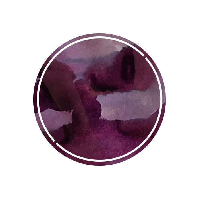 Robert Oster Signature Ink Barossa Grape - 50ml 1